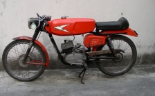 Gitan Grillo sport export 1968 50cc Italian sports moped - 
